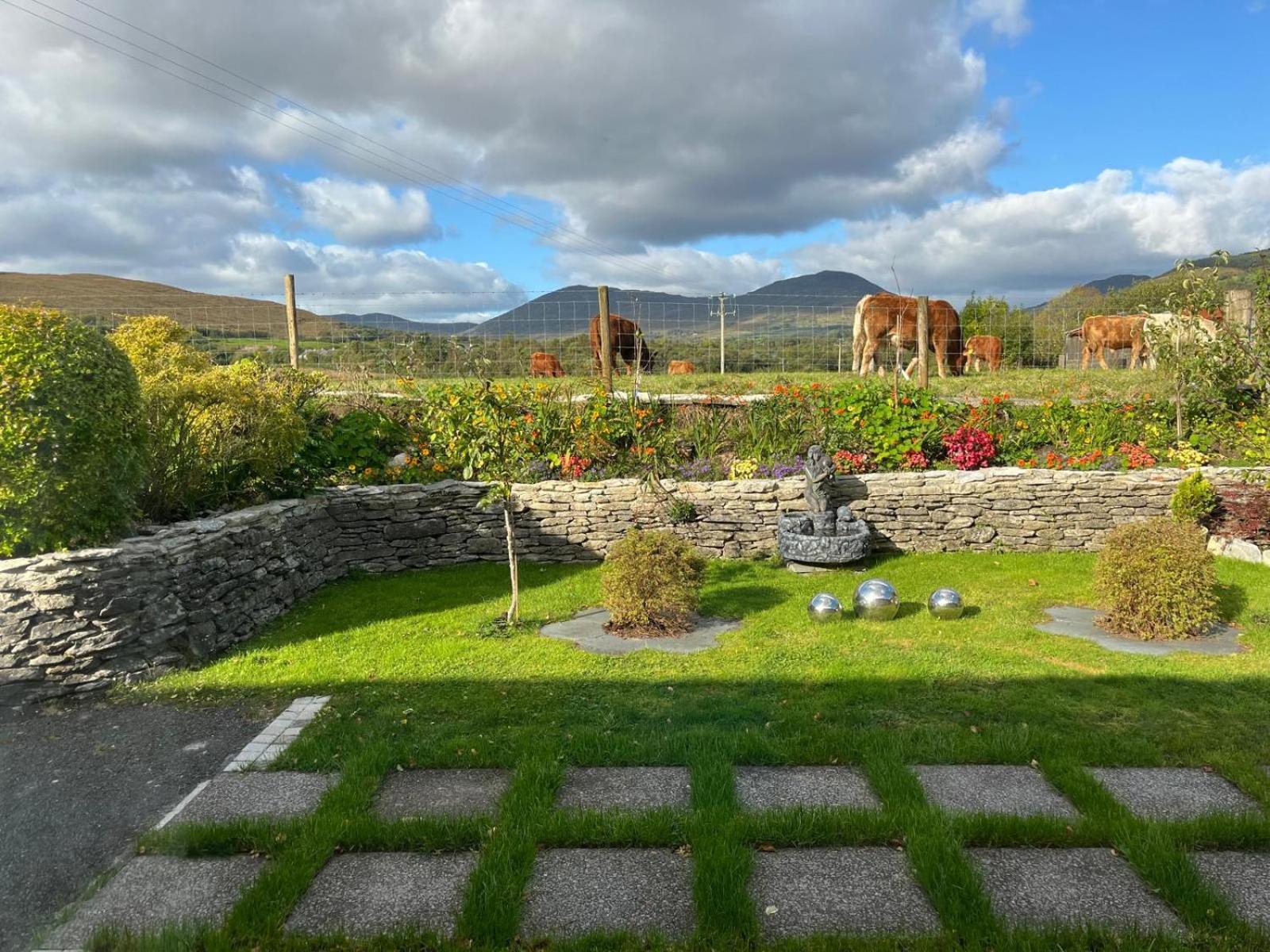 Laburnum B&B Кенмар Экстерьер фото