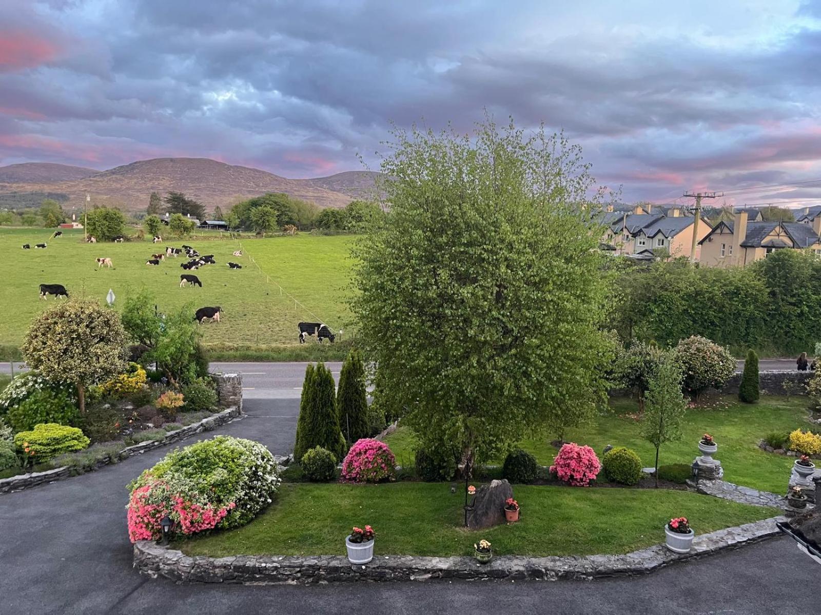 Laburnum B&B Кенмар Экстерьер фото